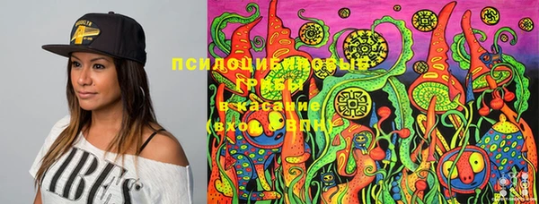 кокс Каменка