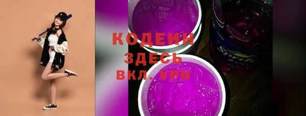 гидра Инсар