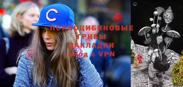 кокс Каменка