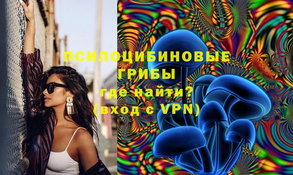 кокс Каменка