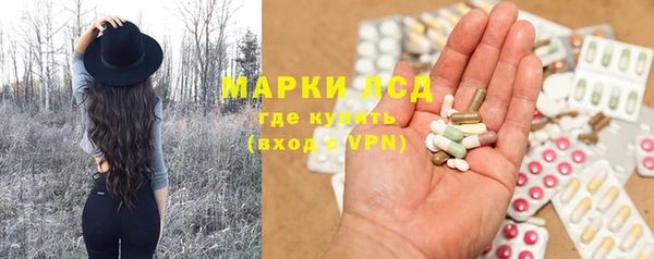 гидра Инсар