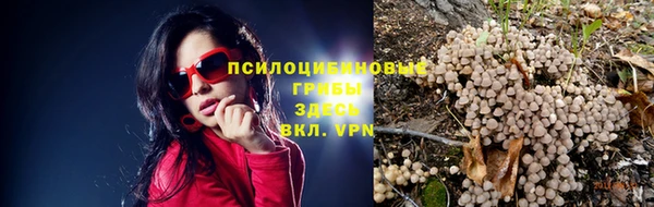 не бодяженный Касимов