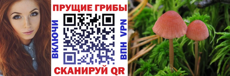 хочу   площадка клад  Галлюциногенные грибы мухоморы  Котовск 
