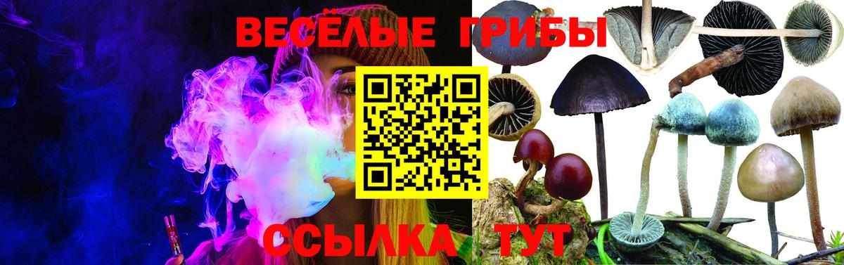 Галлюциногенные грибы мицелий  Вход с VPN  Котовск 